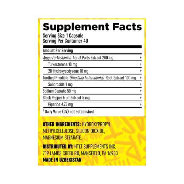 HTLT Turk Builder Max