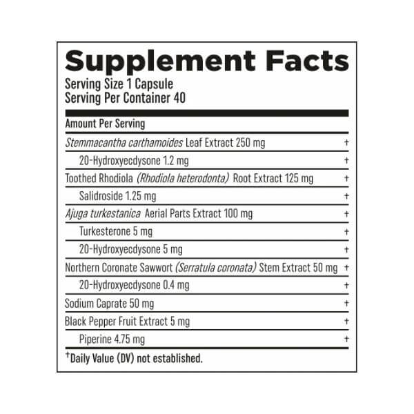 HTLT Turk Builder Platinum