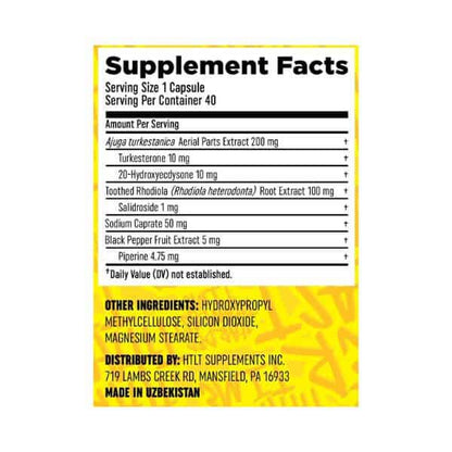 HTLT Turk Builder Max