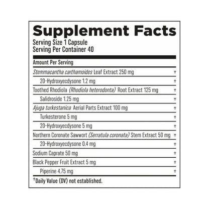 HTLT Turk Builder Platinum