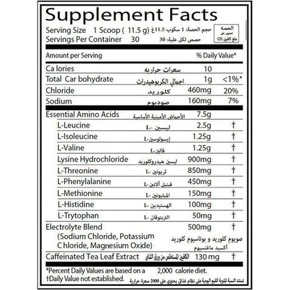 Rule One Essential Amino 9-2378
